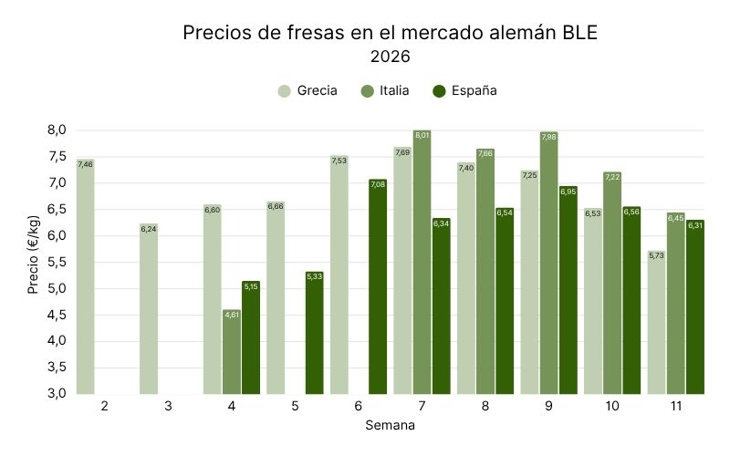 Precios de fresas en el mercado alemán BLE, 2026.jpg